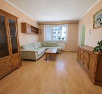 Wohnzimmer in einer Zweizimmerwohnung mit Sofa, Möbeln und Holzboden.