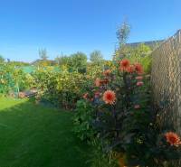 Blumengarten beim Einfamilienhaus in der Radová-Straße in Nová Dedinka, von einem Zaun umgeben.