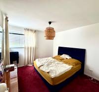 Ein Schlafzimmer in einem Einfamilienhaus mit rotem Teppich, blauem Bett und großem Fenster.