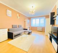 Wohnzimmer in einer Zweizimmerwohnung mit Holzboden, Sofa, Möbel, Kronleuchter.