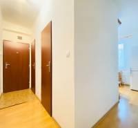 Eingangsbereich in einer 2-Zimmer-Wohnung mit Holzboden.