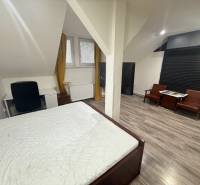 Schlafzimmer in einer Einzimmerwohnung mit Holzboden und Schreibtisch.