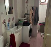 Badezimmer im Einfamilienhaus mit Sanitäranlagen, Waschmaschine und Blumenfliesen.