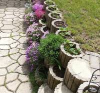 Ein Blumenbeet entlang des Pflasters bei einem Einfamilienhaus in Vršatské Podhradie.