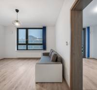 Wohnzimmer mit Sofa, großem Fenster und Holzboden in einer 2-Zimmer-Wohnung.