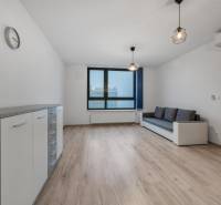 Wohnzimmer in einer Zweizimmerwohnung mit Sofa und Holzboden.