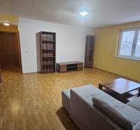 Großes Wohnzimmer in einer 3-Zimmer-Wohnung mit bequemer Couch und Holzelementen.