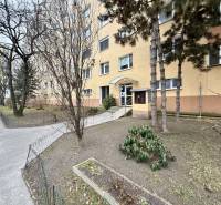 Ein Wohnhaus in Bratislava - Lúky, Umgebung mit Bäumen und Strauch vor dem Eingang.