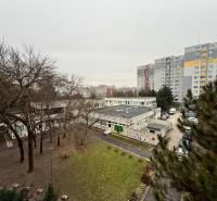 Blick auf die Siedlung Bratislava - Lúky, umgeben von Grünflächen und Plattenbauten.