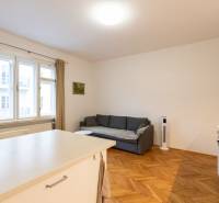 Wohnzimmer in einer 2-Zimmer-Wohnung mit einem Sofa und einem Boden in Holzoptik.