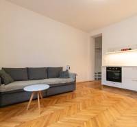 Wohnzimmer in einer Zweizimmerwohnung mit Sofa, Küchenzeile und Holzboden.