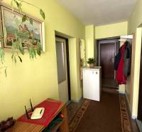 Flur in einem Einfamilienhaus mit gelben Wänden, einer Pflanze, einem Spiegel und Teppichboden.