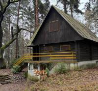 Eine Hütte in Kováčová, umgeben von Wald, mit einem großen Baum im Vordergrund.