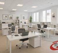 Büros mit Holzboden, Schreibtischen, Stühlen und Pflanzen.