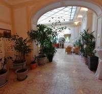 Flur von Hotels und Pensionen mit Blumen und Sitzgelegenheiten, Boden mit Dekor.