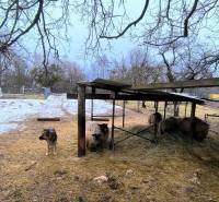 Grundstücke - Wohnen in der Mierová-Straße in Krásnohorské Podhradie mit einem Hund und Schafen unter einem Unterstand.