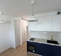 Die Küche des Einzimmerapartments mit hellen Schränken, grauer Arbeitsplatte und einem Boden in Holzoptik.