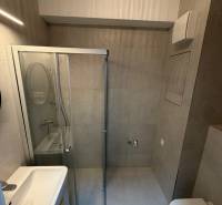 Kompaktes Badezimmer mit moderner Duschkabine und Spiegel in einem Einzimmerapartment.