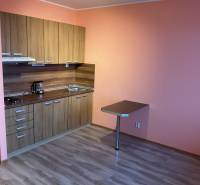 Küchenecke in einem Einzimmerapartment mit Holzboden und orangefarbenen Wänden.