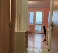 Ein Studio-Apartment mit Holzboden und Möbeln, mit Blick aus dem Fenster.