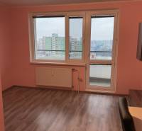 Einzimmerwohnung mit rosa Wänden und Holzboden, Blick auf Petržalka.