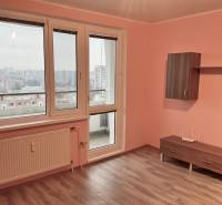 Einzimmerwohnung mit Holzboden, Blick auf Bratislava durch große Fenster.