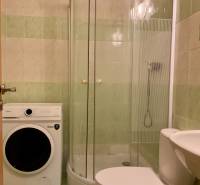 Badezimmer mit Waschmaschine, Dusche und Toilette in einem Studio.