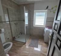 Badezimmer in einem Einfamilienhaus mit Toilette, Dusche und Waschmaschine.