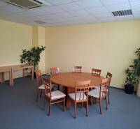 Büro mit rundem Tisch, sechs Stühlen, blauem Teppich und Pflanzen.