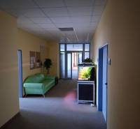 Büros mit Aquarium, grünem Sofa und Pflanze.