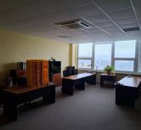 Ein Bürointerieur mit drei Schreibtischen, Pflanzen und einem Ausblick durch große Fenster.