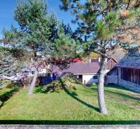 Der Garten des Einfamilienhauses in Lieskovec mit Bäumen und Rasen, neben einem Holzgebäude.