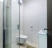Badezimmer in einer 3-Zimmer-Wohnung mit Toilette, Dusche und Waschbecken.