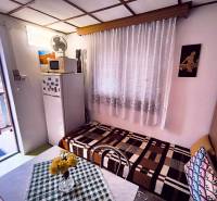 Innenraum der Hütte mit Kühlschrank, Sofa, Tisch und Blick in den Garten.