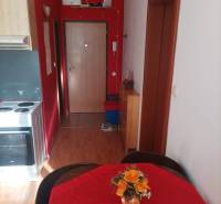 1-Zimmer-Wohnung mit markanten roten Wänden und einem Boden in Holzoptik.