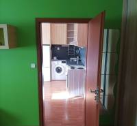 Eine Einzimmerwohnung mit klaren grünen Wänden und einem Boden in Holzoptik.