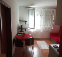 Wohnbereich einer Einzimmerwohnung mit Holzboden, Tisch und Stühlen.