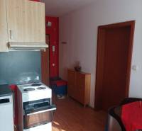 Küche in einer Einzimmerwohnung mit Holzboden.