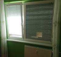 Grüne Wand mit Fenstern, Jalousien, Vorhängen und Heizkörper in einem Einzimmerapartment mit Holzboden.