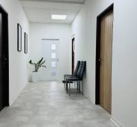 Flur im Büro mit weißen Wänden, einer Pflanze, Stühlen und Türen mit Holzdekor.