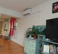 Wohnzimmer mit Holzboden, Fernseher, Klimaanlage und dekorativen Elementen.