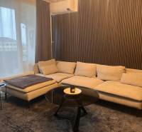 Helles Sofa in einer 2-Zimmer-Wohnung mit Holzwanddekor und Tisch.