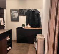 Der Flur in einer 2-Zimmer-Wohnung mit praktischen Möbeln und einer Monddekoration an der Wand.