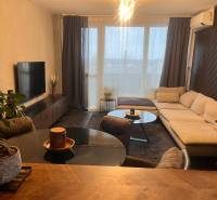 Wohnzimmer mit Holzdekorboden, Sofa und Fernseher in einer Zweizimmerwohnung.