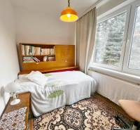 Izba in einer Hütte mit einem Bücherregal, einem Bett und einem großen Fenster.