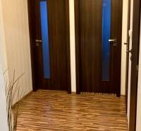 Eingangsflur mit zwei Türen, Holzboden und einer Pflanze.