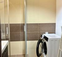 Badezimmer mit Dusche und Waschmaschine in einer 3-Zimmer-Wohnung.