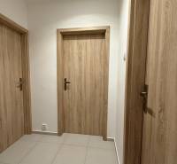 Ein Flur mit drei Türen, Fliesenboden und Türen mit Holzdekor, Einzimmerwohnung.