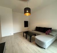 Wohnzimmer mit Holzboden, ausziehbarem Sofa und minimalistischen Möbeln in einer Einzimmerwohnung.