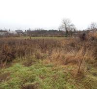 Ein Wiesengrundstück mit Sträuchern und Bäumen in Kravany nad Dunajom, ideal für ein Einfamilienhaus.